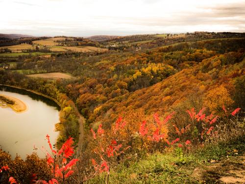 11:09:02 GMT-0500 (EST).image