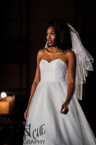 2017 ND Bridal Show00101