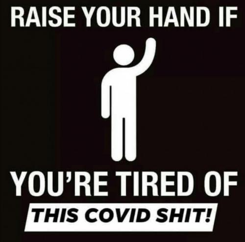 Screenshot_2020-11-19-06-43-12-1