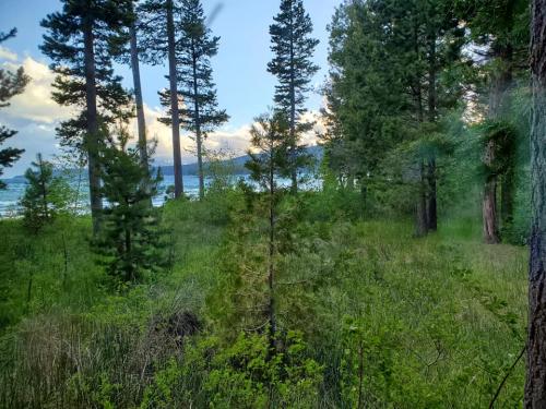 102700564_3154312537940426_3355538358895604896_n