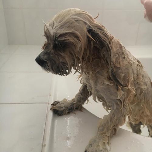 10:13:42 GMT+0100 (WAT)