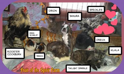 22:23:10 GMT-0600 (CST)