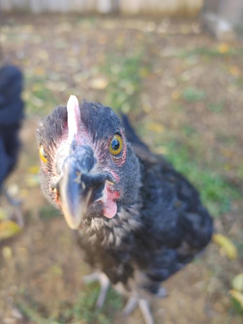 18:33:56 GMT-0500 (EST)