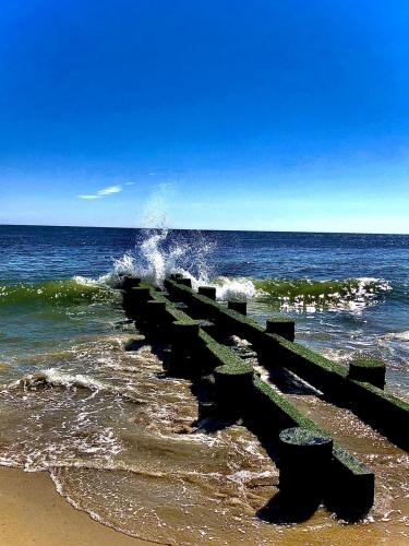 10:46:33 GMT-0500 (EST).image