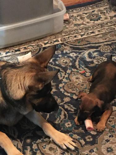 328ECBB7-7828-4463-B688-86C61EEB1934