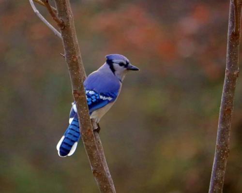 21:29:11 GMT-0600 (CST)