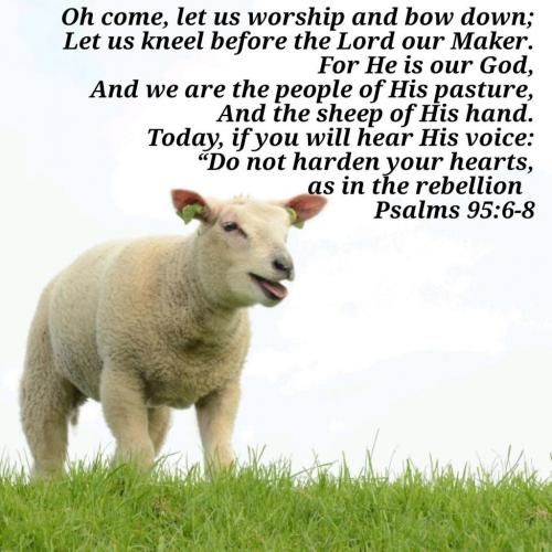 03:00:46 GMT-0500 (EST)