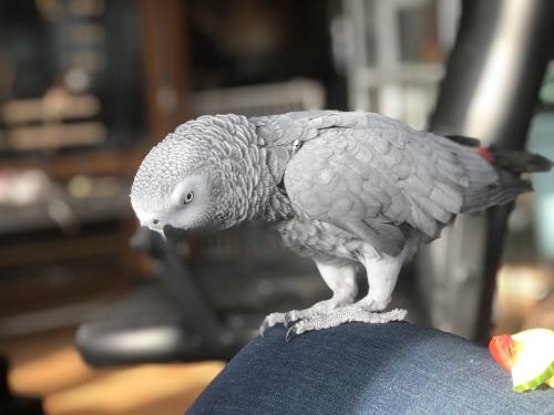 21:17:06 GMT-0700 (MST).image