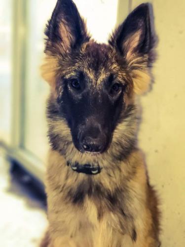 23:05:48 GMT-0600 (CST)