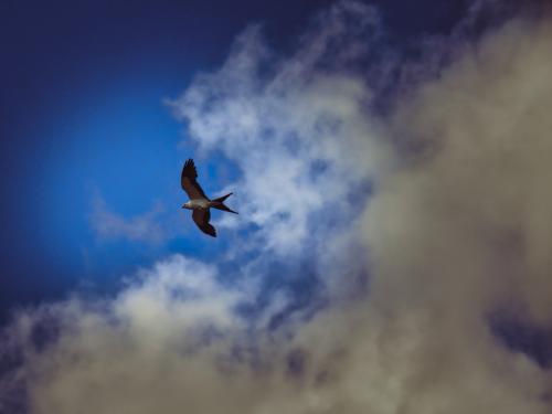 557F8317-9C10-4D22-9053-8CB0DA2E4294