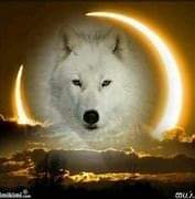 22:32:27 GMT-0600 (CST)