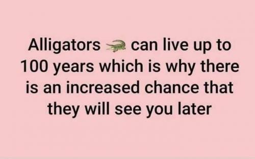 06:22:16 GMT-0500 (EST)