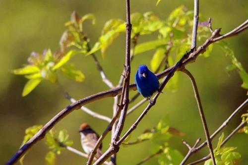 21:30:18 GMT-0600 (CST)