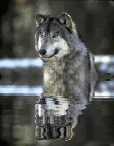 20:49:48 GMT-0600 (CST).image