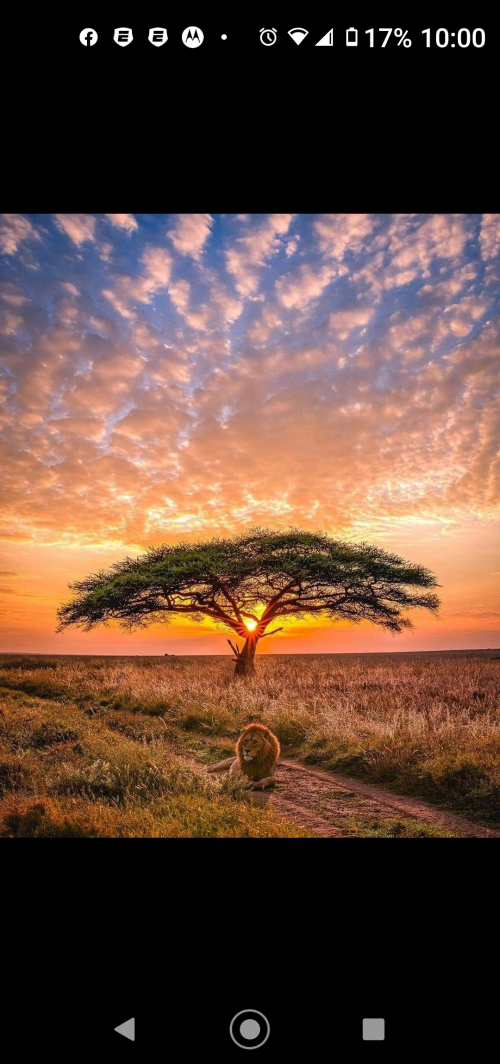 04:21:51 GMT-0500 (EST).png