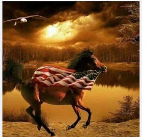 Horse red white blue 2020