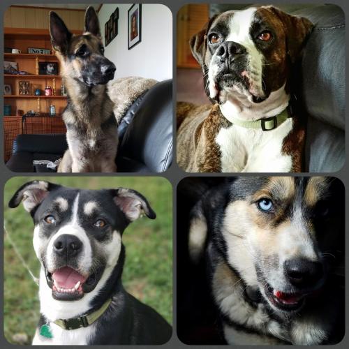 11:18:03 GMT-0600 (CST)