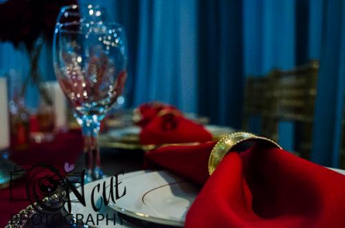 Elkhart Bridal Expo 2015 (3 of 15)