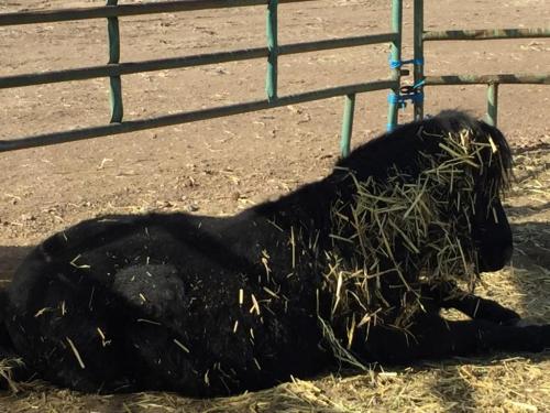 16:37:05 GMT-0800 (PST).image