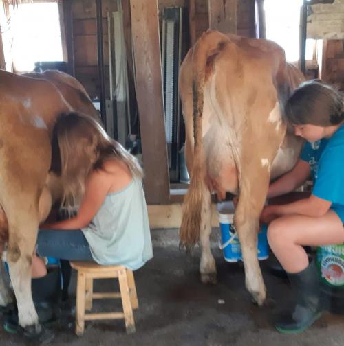 13:09:54 GMT-0600 (CST)