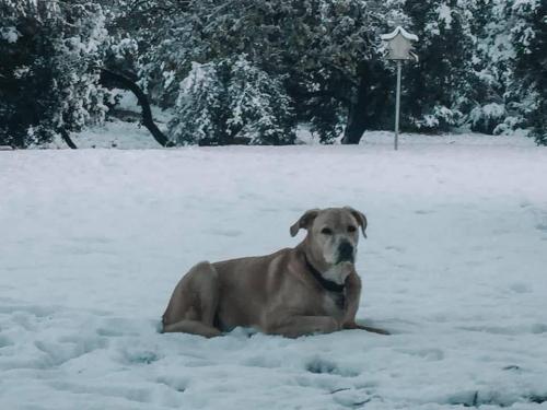 14:25:19 GMT-0600 (CST).image