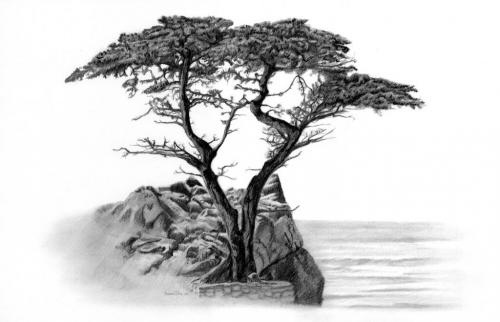 Cypress-Tree