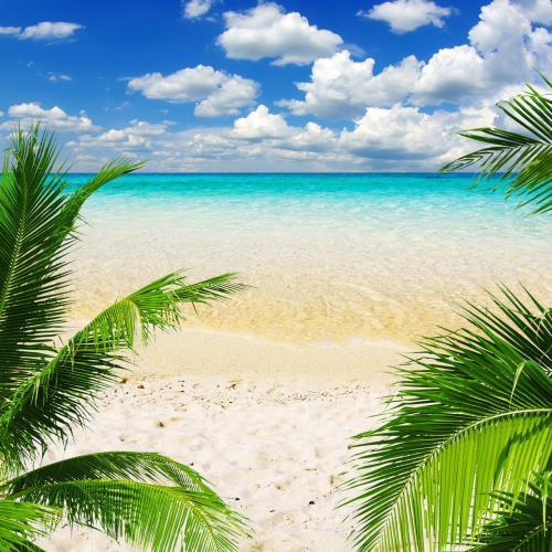 19:29:10 GMT-0500 (EST).image