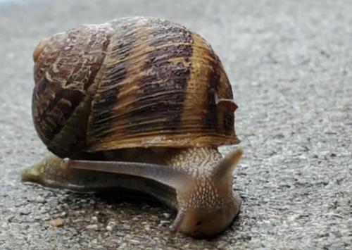 15:06:59 GMT-0800 (PST)