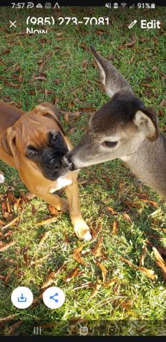 08:00:15 GMT-0600 (CST)