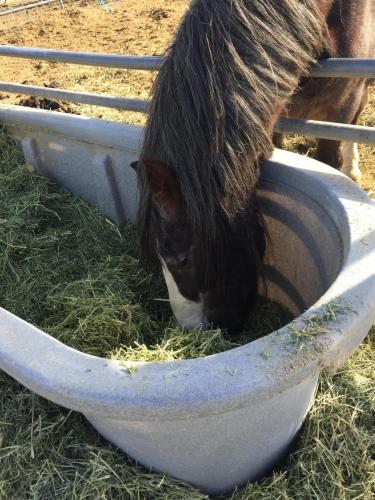 16:37:05 GMT-0800 (PST).image