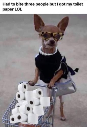 20:31:20 GMT-0800 (PST).image