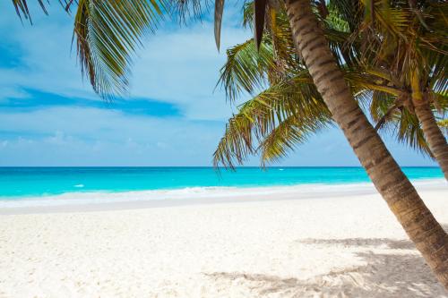 beach tropical-paradise