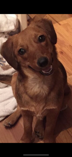 01:33:58 GMT-0600 (CST).image