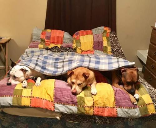 19:44:50 GMT-0600 (CST)