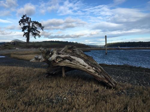 23:54:19 GMT-0800 (PST).image