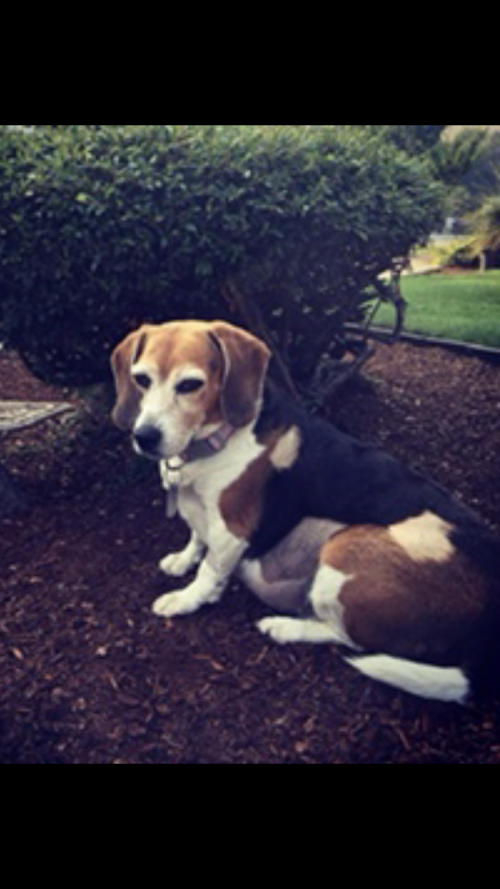 08:18:28 GMT-0800 (PST).image