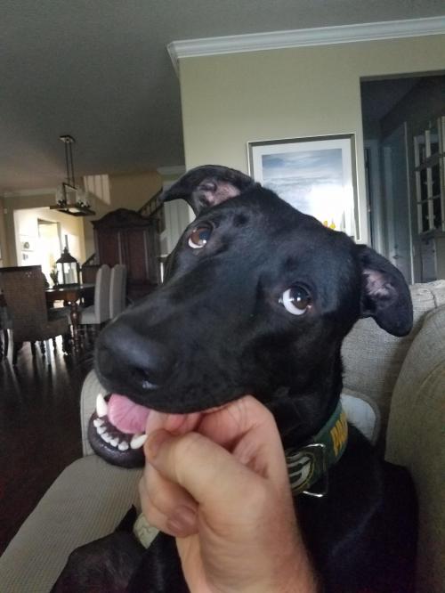 09:40:50 GMT-0500 (EST)