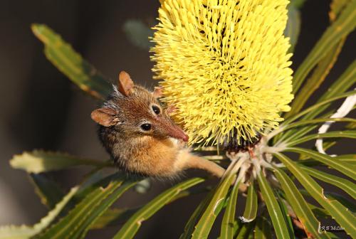 125882843_4078656978827509_3810762901028259942_o