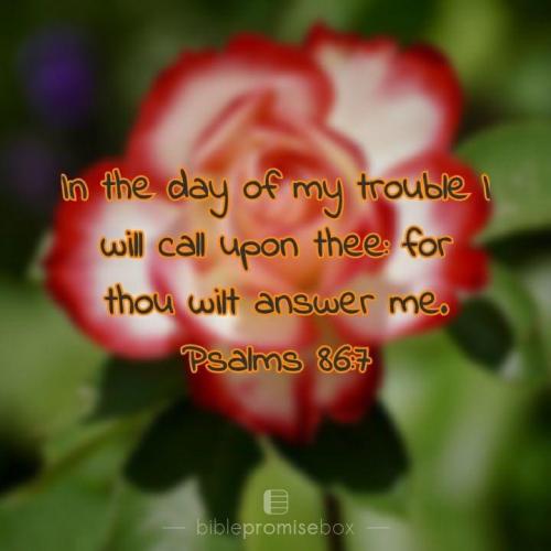 9DA65088-B010-4741-877C-8FFA47B4373C