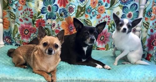 18:46:20 GMT-0500 (EST).image