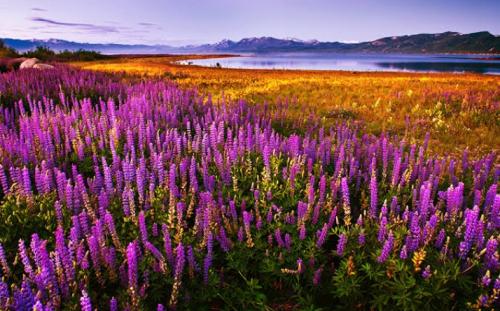 09:37:42 GMT+0100 (WAT)