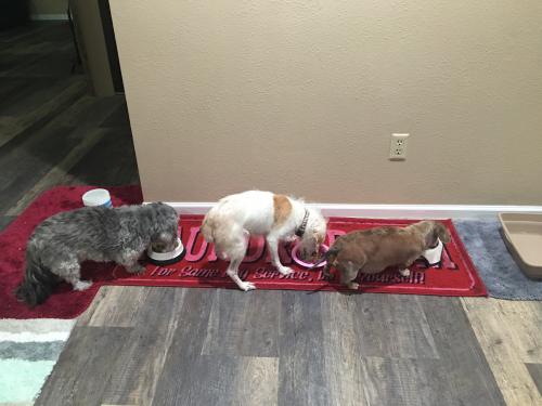 18:07:13 GMT-0800 (PST).image