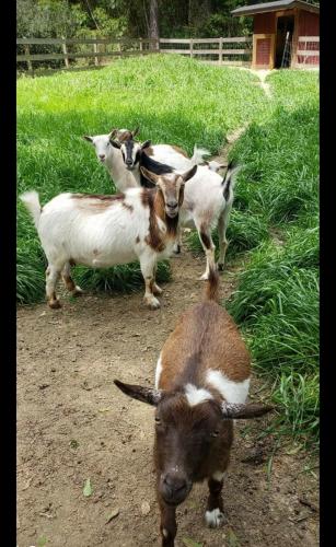 21:33:48 GMT-0600 (CST)