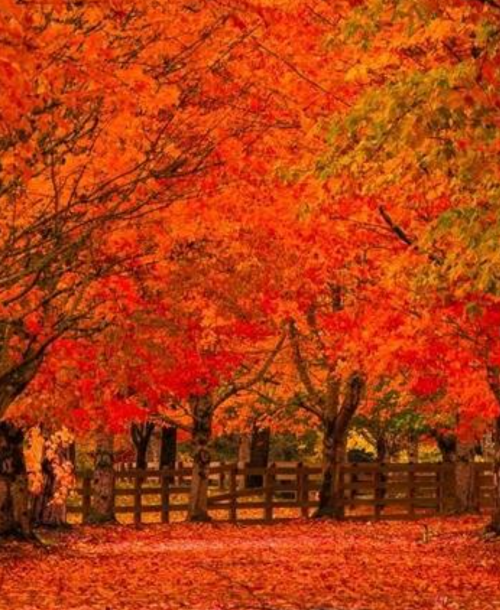 10:56:48 GMT-0700 (MST).png