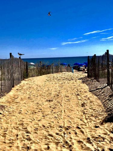 10:46:33 GMT-0500 (EST).image