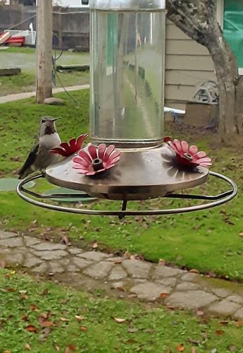 16:50:51 GMT-0800 (PST)