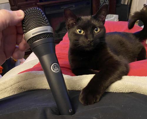 ABAD819E-F88D-4AFC-A9F9-878F5348B306