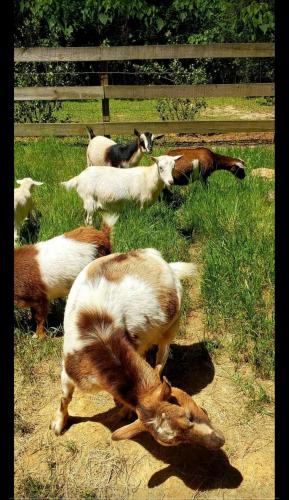 21:33:48 GMT-0600 (CST)