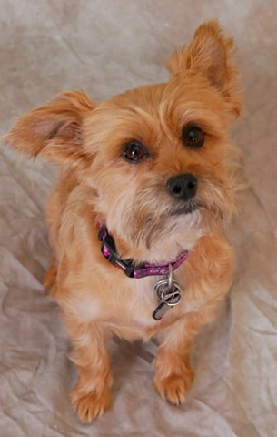 16:40:42 GMT-0800 (PST)