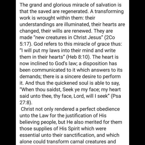 2018-09-03 10.41.58 1860335693784786874_5403409862